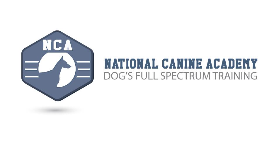 Logo Design by @gus for this project | Design #11983494