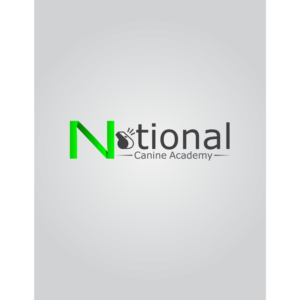 Logo Design by Usama NI