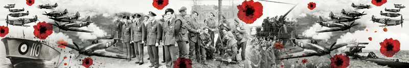 Art Design by alessandroevge for Steward Safety Supplies | Design #12078109