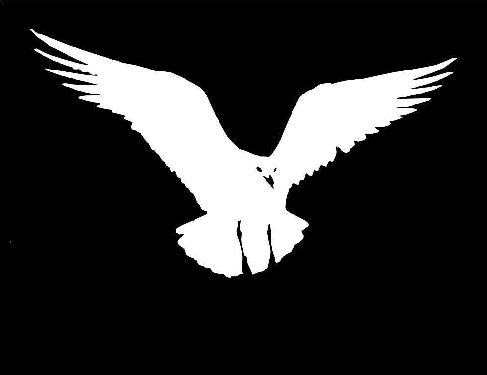 Logo Design by Dhruv Design Studio for SoundWay Consulting Incorporated | Design #13552957