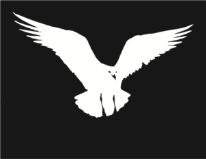 Logo Design by Dhruv Design Studio for SoundWay Consulting Incorporated | Design: #13552957