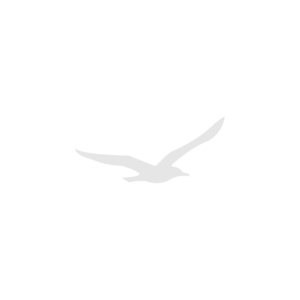 Logo Design by JM GRAPHICS for SoundWay Consulting Incorporated | Design: #13549526