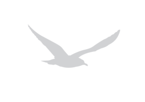 Logo Design by GreenArt for SoundWay Consulting Incorporated | Design: #13548594