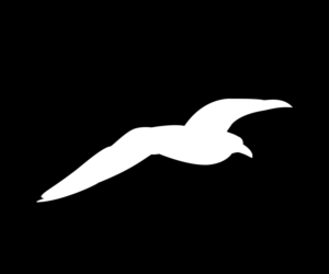 Logo Design by Ildi for SoundWay Consulting Incorporated | Design: #13563850