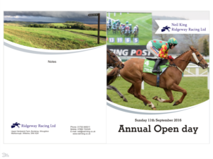 Flyer Design by Blueberry for Ridgeway Racing Ltd | Design: #11999822