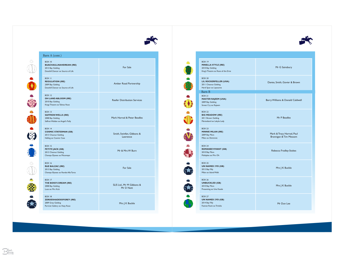 Flyer Design by Blueberry for Ridgeway Racing Ltd | Design #12005574