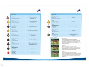 Flyer Design by Blueberry for Ridgeway Racing Ltd | Design: #12005586