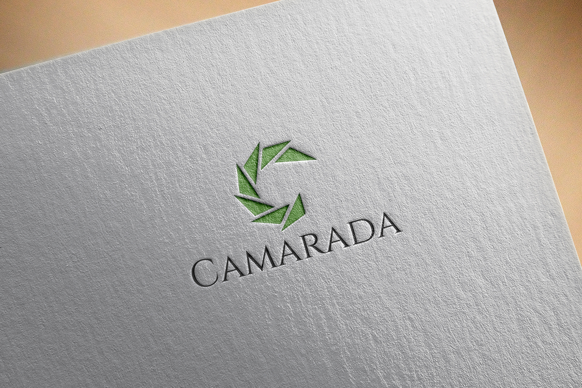 Logo Design by Ather Ali Khan for this project | Design #12033581