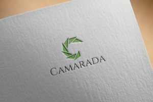 Logo Design by Ather Ali Khan for this project | Design: #12033581
