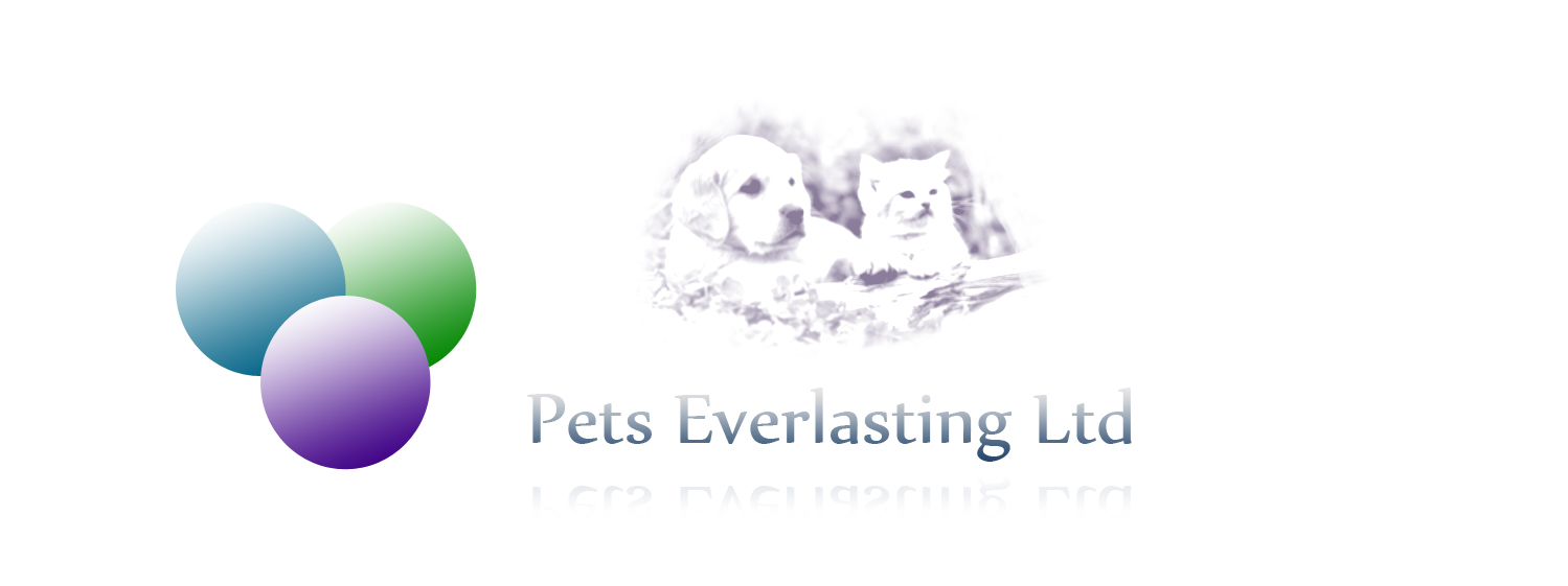 Logo Design by JR designs for this project | Design #497036