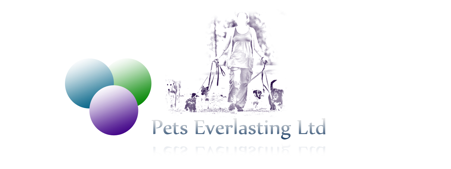 Logo Design by JR designs for this project | Design #499914