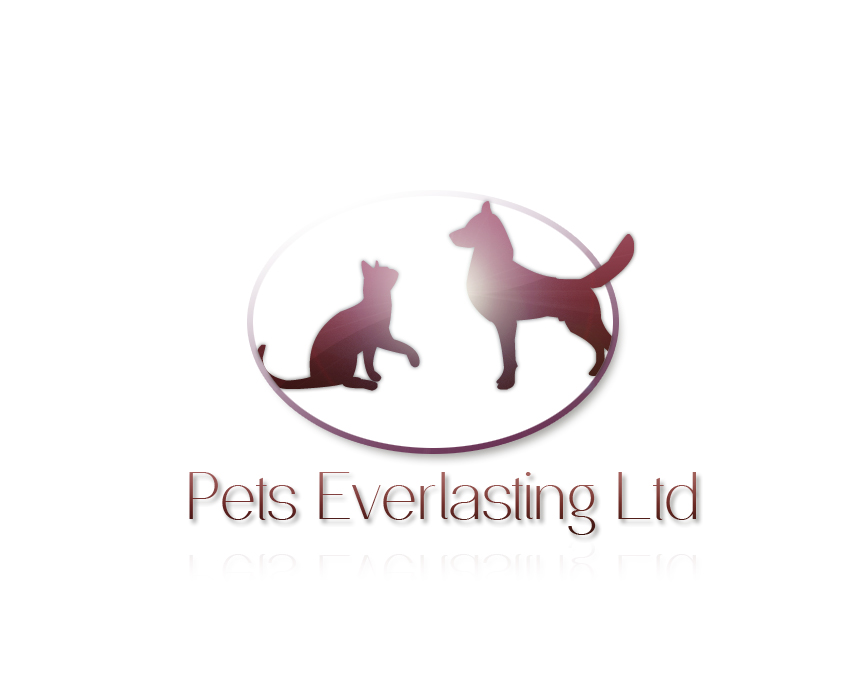 Diseño de Logo por JR designs para este proyecto | Diseño #501432