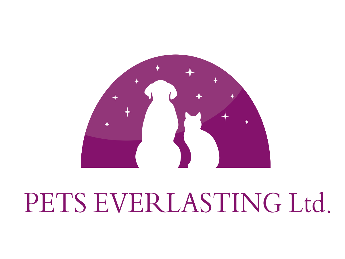 Logo Design by Soho for this project | Design #497719