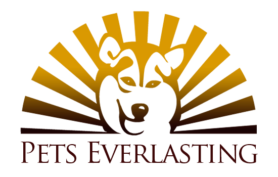 Logo Design by Silvio S for this project | Design #501627