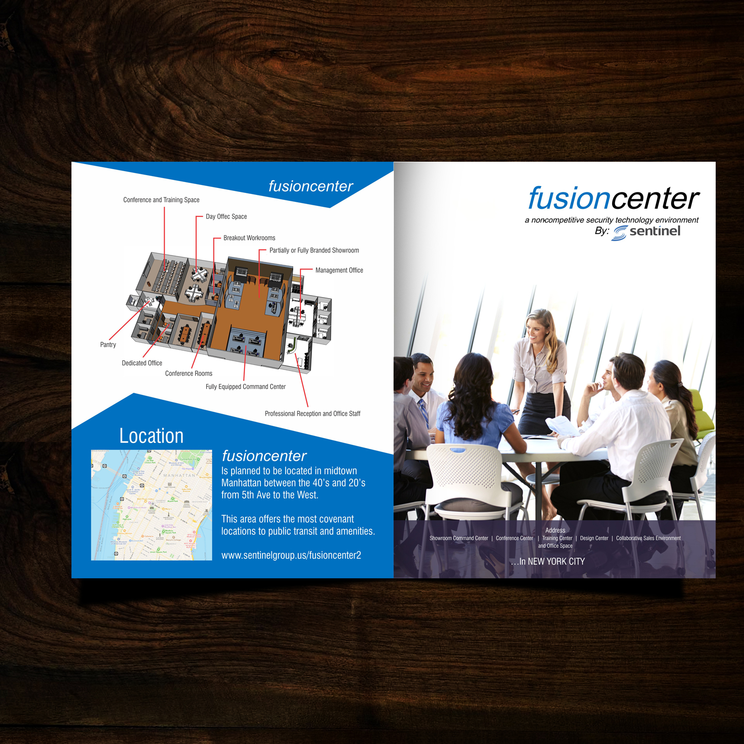 Diseño de Flyer por uk para Sentinel Consulting, LLC | Diseño #12004407