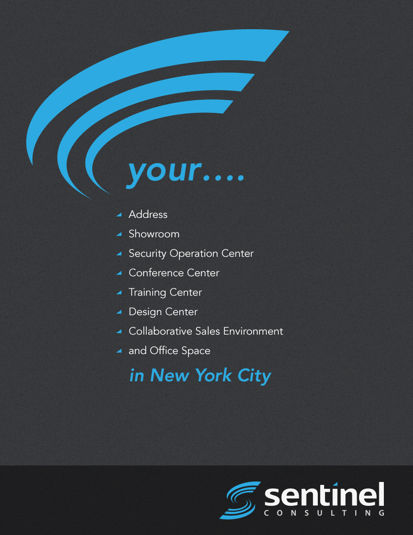 Diseño de Flyer por yadunath para Sentinel Consulting, LLC | Diseño #12221097