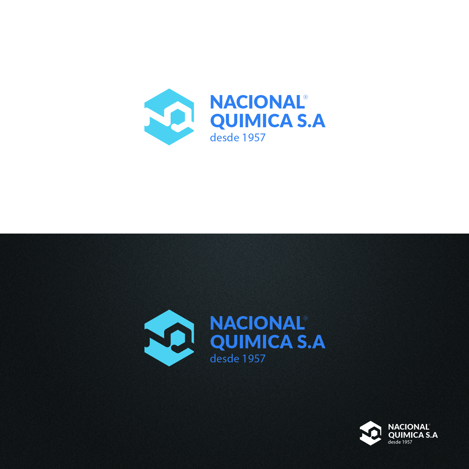 Logo Design by NagCreative for Varela Hermanos | Design #12133365