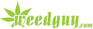 Logo Design by lokkesh