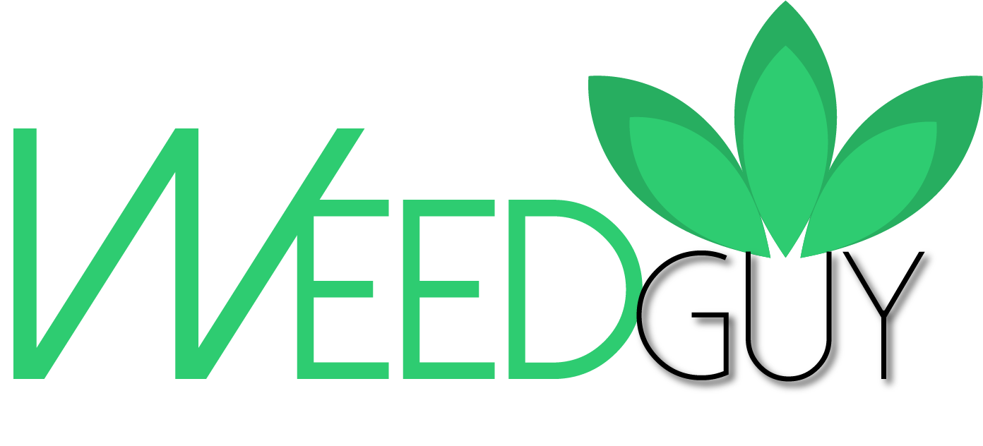 Logo Design by Decos Studio for this project | Design #12000823