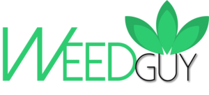 Logo Design by Decos Studio