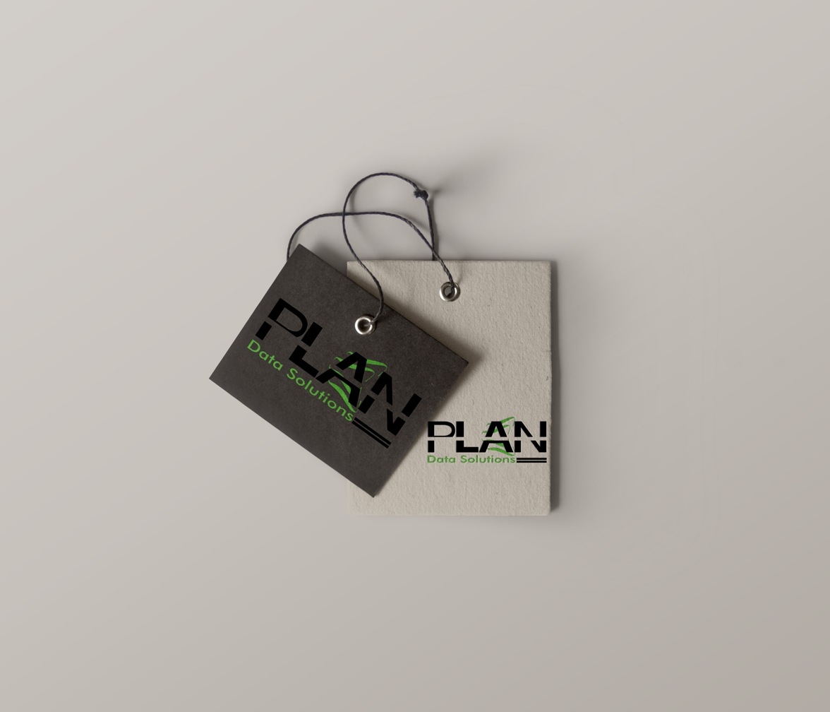 Logo Design by Axaviy Design for PLAN Data Solutions | Design #12057736