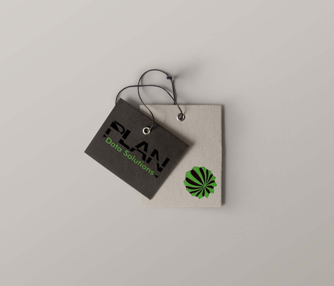 Design de Logo par Axaviy Design pour PLAN Data Solutions | Design #12062811
