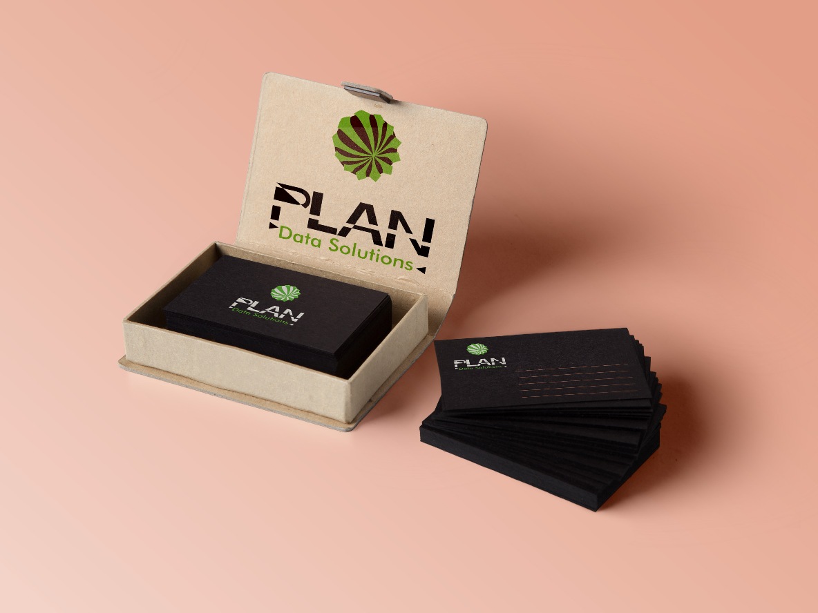Logo Design by Axaviy Design for PLAN Data Solutions | Design #12062814
