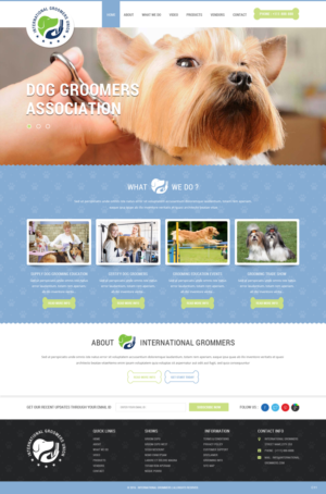 Diseño Web por pb para este proyecto | Diseño: #12046661