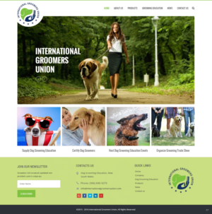 Diseño Web por pb para este proyecto | Diseño: #12046664