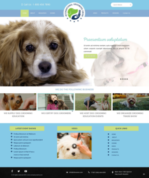 Diseño Web por pb para este proyecto | Diseño: #12047476