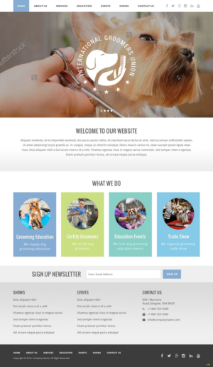 Diseño Web por pb para este proyecto | Diseño: #12047477