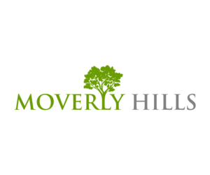 Logo Design by NalART