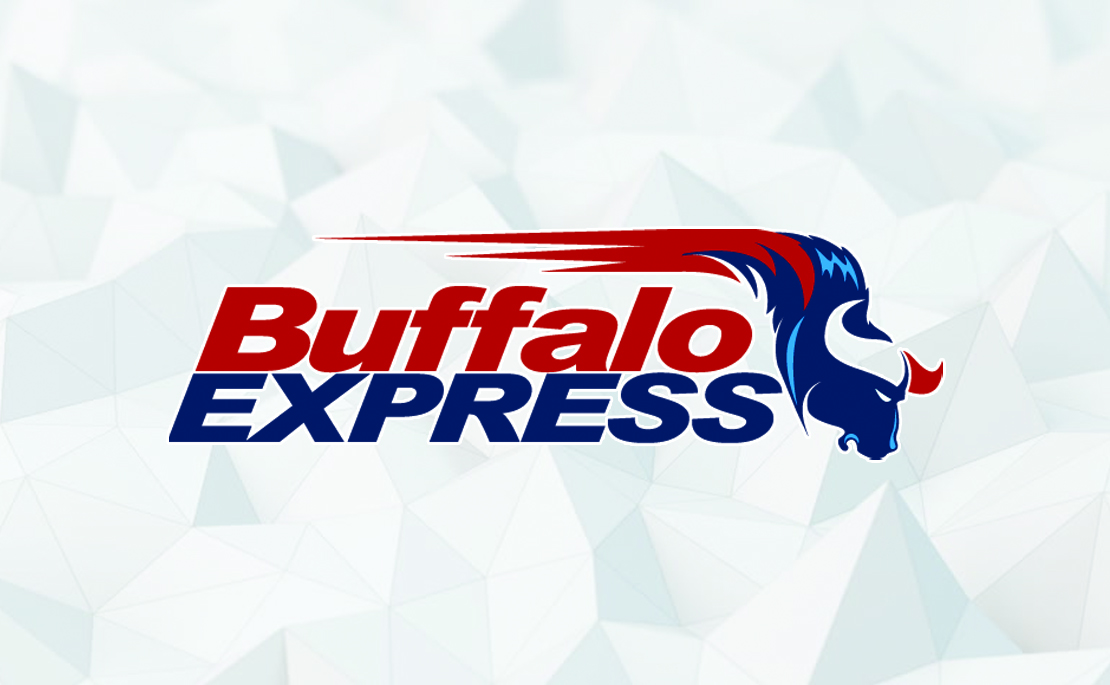 Business Card Design by Pram Shaw for Buffalo Express | Design #12014274