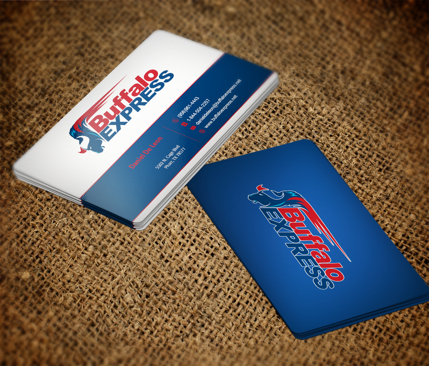 Business Card Design by EWS Webs for Buffalo Express | Design #12031086