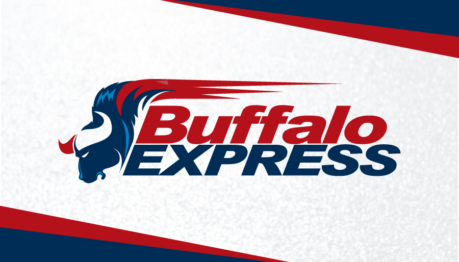 Business Card Design by dumieucosdesign for Buffalo Express | Design #12006311
