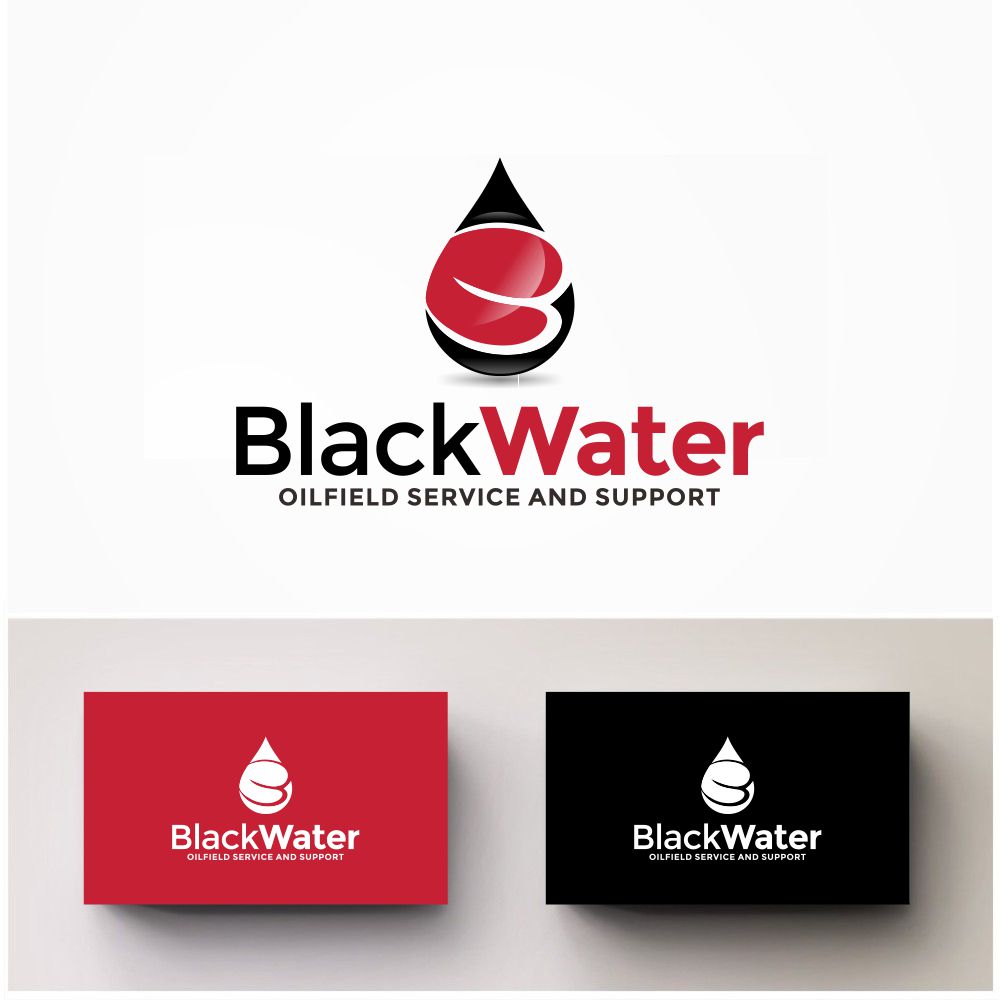 Logo Design by south door for this project | Design #12037059