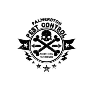 At top of logo 