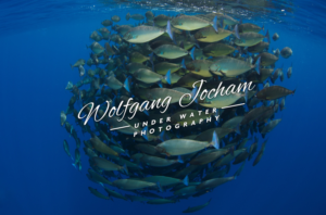 Logo Design by Giovanni for this project | Design: #12033364