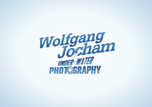 Logo Design by Giovanni for this project | Design: #12037237