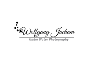 Logo Design by Impressive Sol