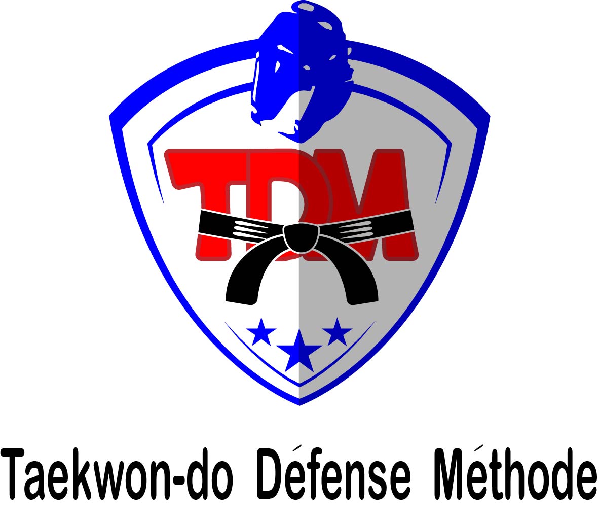 Diseño de Logo por obrenovic para TDM Taekwon-do Défense méthode | Diseño #12058369
