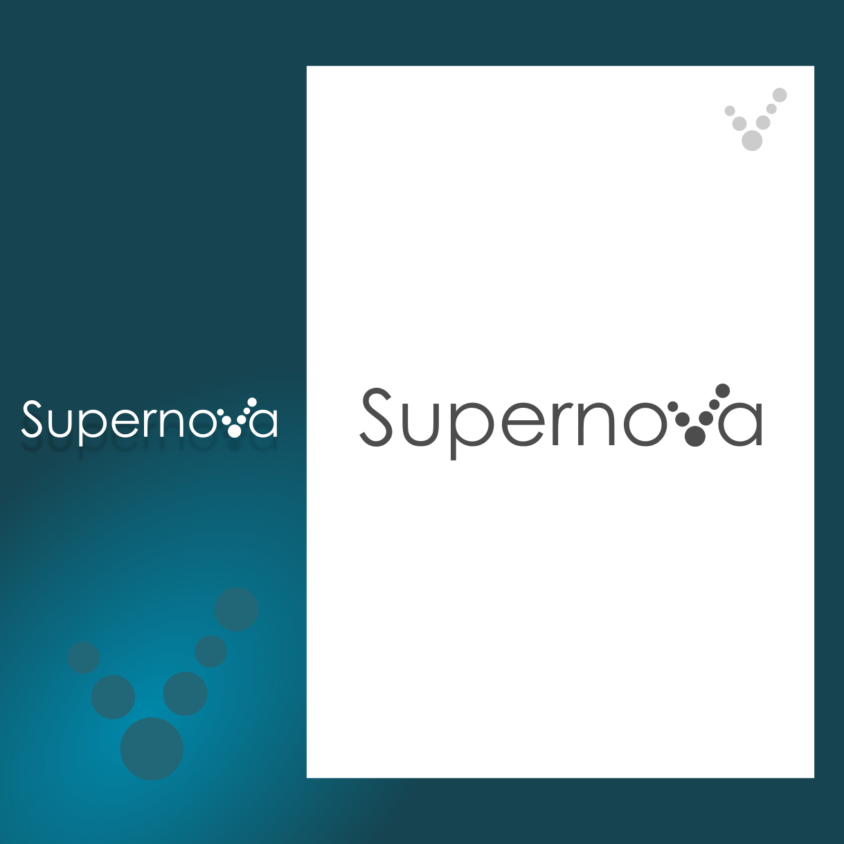 Logo Design by ChinMaya for Aasa Polska S.A. | Design #12096095