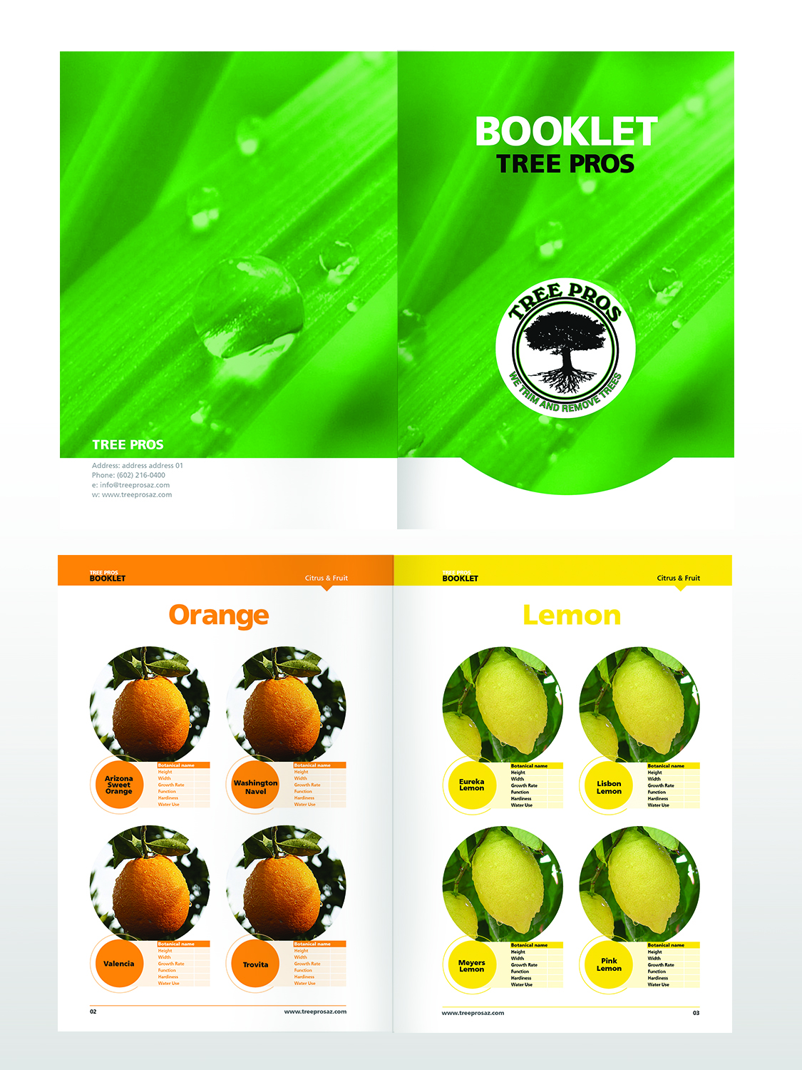 Magazine Design by Pixelon Studio for this project | Design #12098692