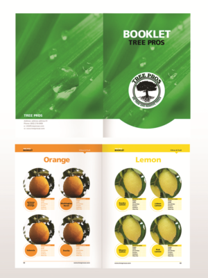 Magazine Design by Pixelon Studio