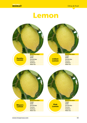 Magazine Design by Pixelon Studio for this project | Design: #12098705