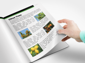 Magazine Design by Sarah Mathews for this project | Design: #12086366