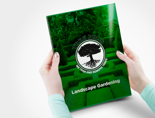 Magazine Design by Sarah Mathews for this project | Design #12086367