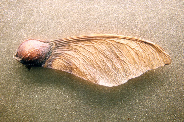 Logo Design by RoundYellow for this project | Design #12026483