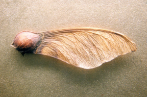 Logo Design by RoundYellow for this project | Design: #12026483