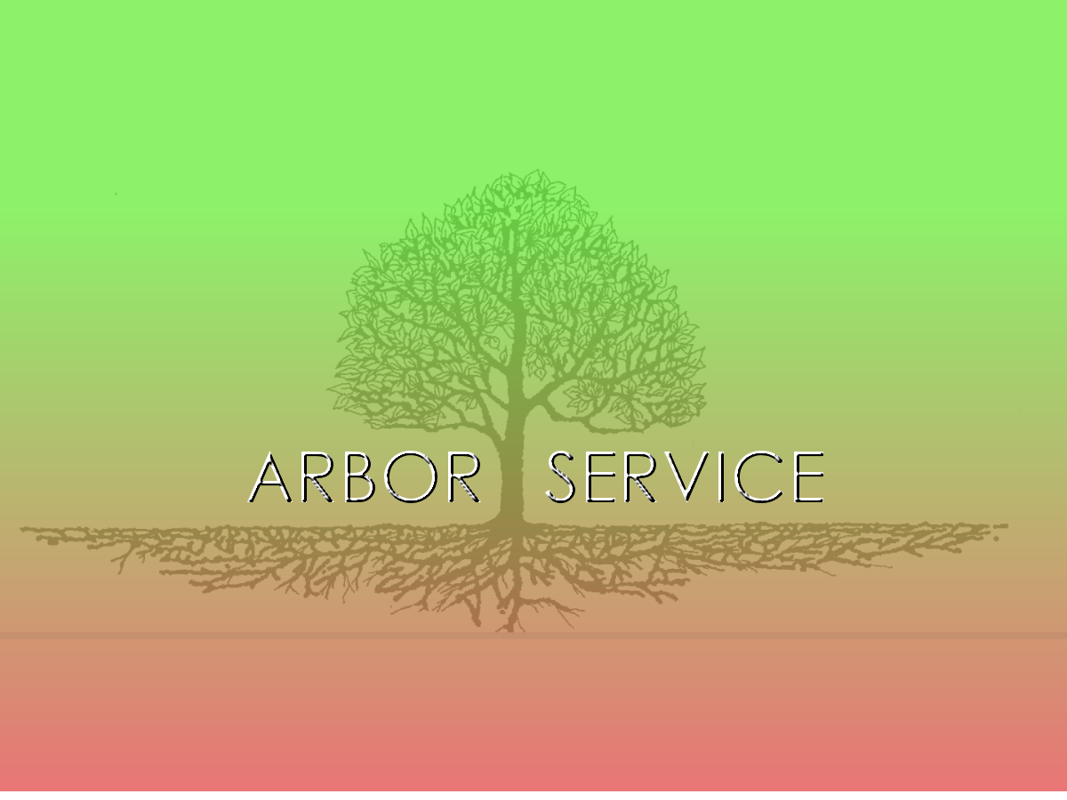 Logo Design by Stasia for this project | Design #500411